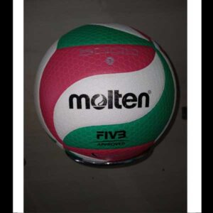 Bola Volly Molten V5M5000